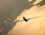 Fly Navy - 2011 Calendar