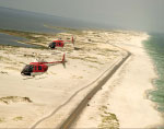 Fly Navy - 2011 Calendar