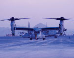 Fly Navy - 2011 Calendar