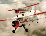 Fly Navy - 2011 Calendar