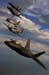 Raptor.HF.07